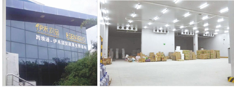 跨境通-伊禾國貿(mào)蔬果生鮮基地冷庫工程