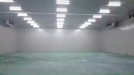 天天果園上海冷庫二期工程