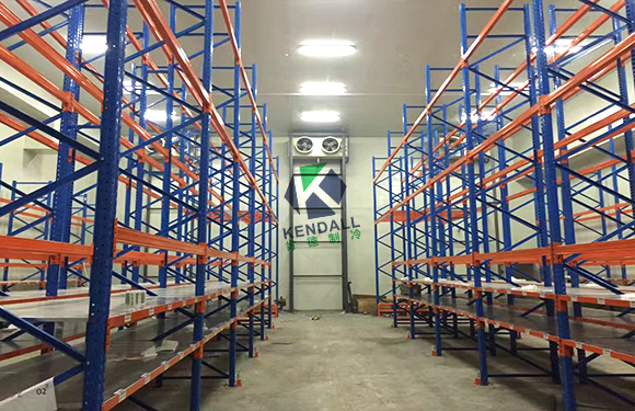 南京全仕達(dá)冷鏈物流大型物流冷庫(kù)工程