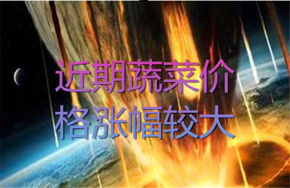 近期蔬菜價格漲幅較大.jpg