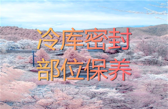 冷庫密封部位保養(yǎng).jpg
