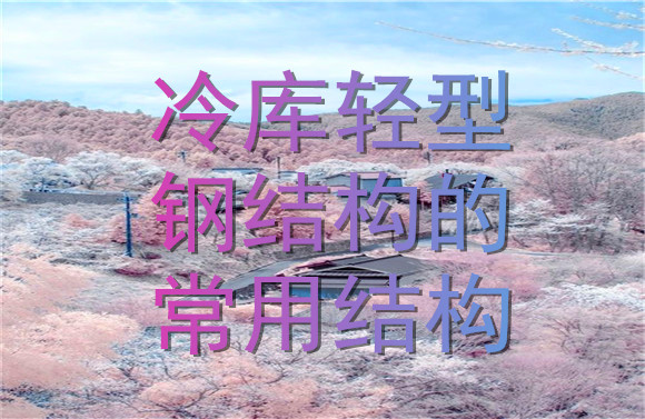冷庫(kù)輕型鋼結(jié)構(gòu)的常用結(jié)構(gòu).jpg