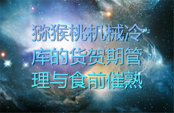 1615278056849349uwB9.jpg 獼猴桃機械冷庫的貨賀期管理.jpg