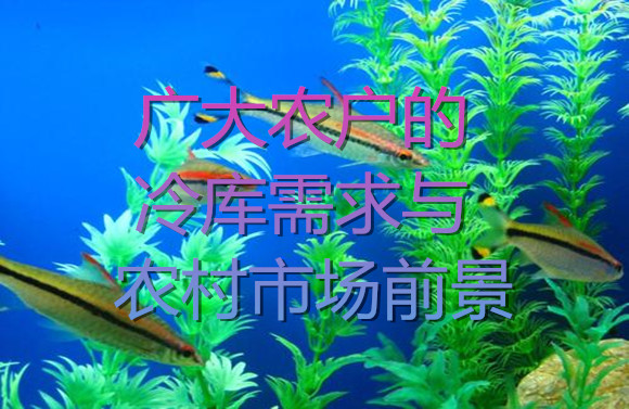 廣大農(nóng)戶(hù)的冷庫(kù)需求與市場(chǎng)前景.jpg