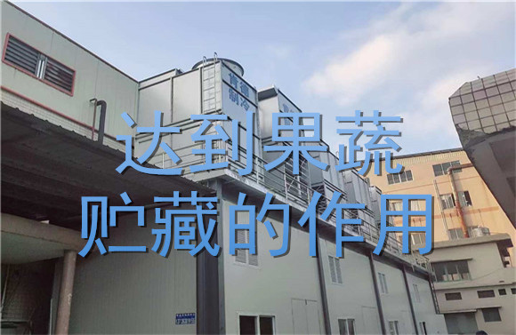 達到果蔬貯藏的作用.jpg