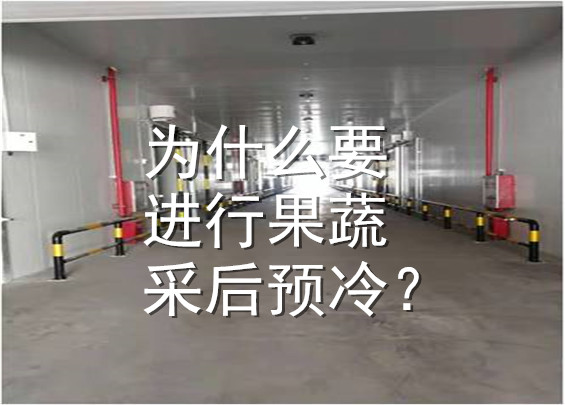為什么要進(jìn)行果蔬采后預(yù)冷？.jpg