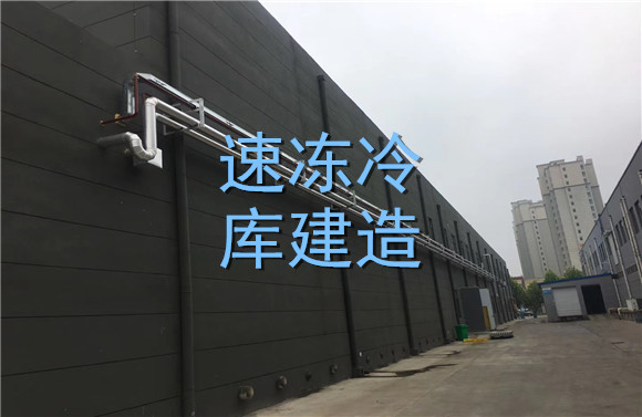速凍冷庫(kù)建造.jpg