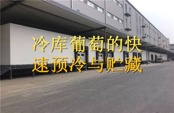 冷庫葡萄的快速預(yù)冷與貯藏 .jpg