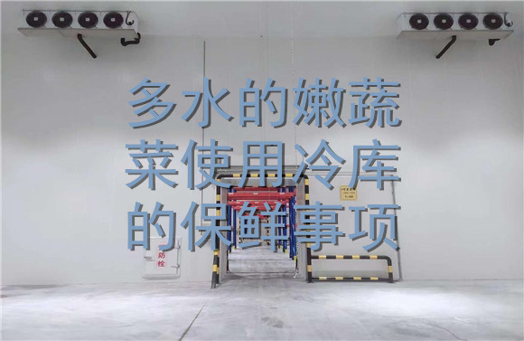 多水的嫩蔬菜使用冷庫(kù)的保鮮事項(xiàng).jpg