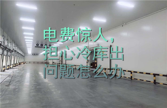 電費(fèi)驚人，擔(dān)心冷庫出問題怎么辦.jpg