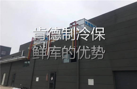 肯德制冷保鮮庫的優(yōu)勢(shì).jpg