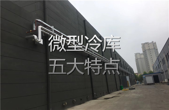 微型冷庫(kù)五大特點(diǎn).jpg