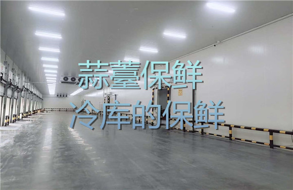蒜薹保鮮冷庫的保鮮.jpg
