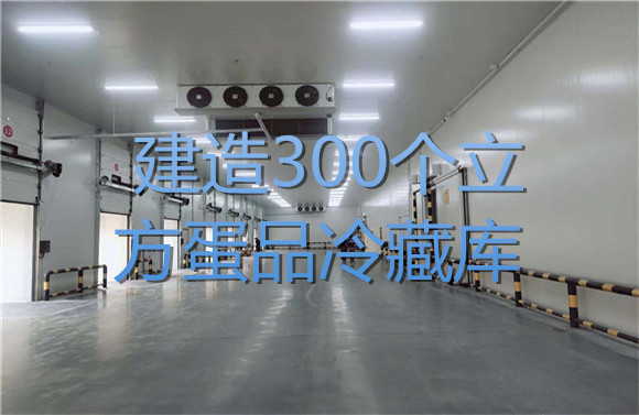 建造300個(gè)立方蛋品冷藏庫(kù).jpg