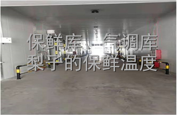 保鮮庫、氣調(diào)庫梨子的保鮮溫度.jpg