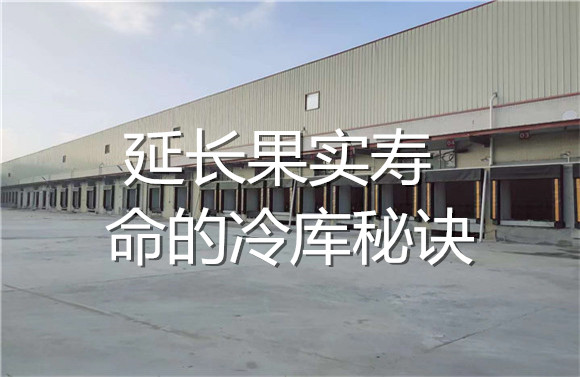 延長(zhǎng)果實(shí)壽命的冷庫秘訣.jpg