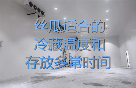 絲瓜適合的冷藏溫度和存放多常時(shí)間.jpg