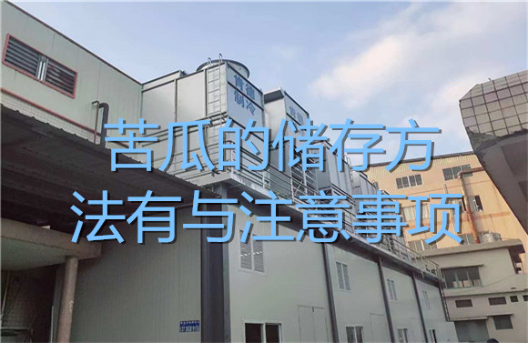苦瓜的儲存方法有與注意事項.jpg