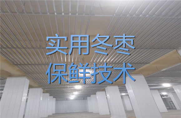 實用冬棗保鮮技術(shù).jpg