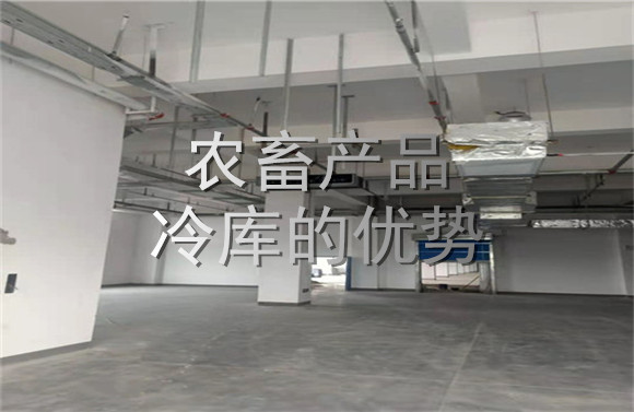 農(nóng)畜產(chǎn)品冷庫的優(yōu)勢.jpg