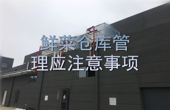 鮮菜倉庫管理應注意事項.jpg