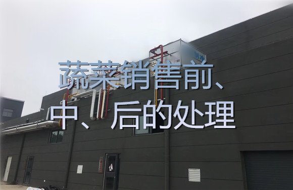 蔬菜銷售前、中、后的處理.jpg